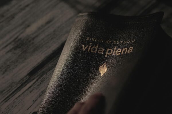 Biblia de Estudio Vida Plena Piel Negro Canto Dorado - Imagen 8