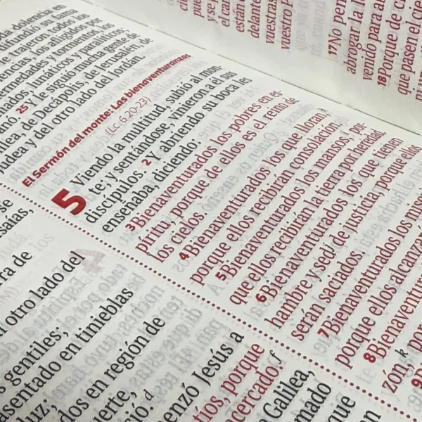 Biblia Letra Grande Rvr 1960 Rojo 12 Puntos Cremallera - Imagen 7