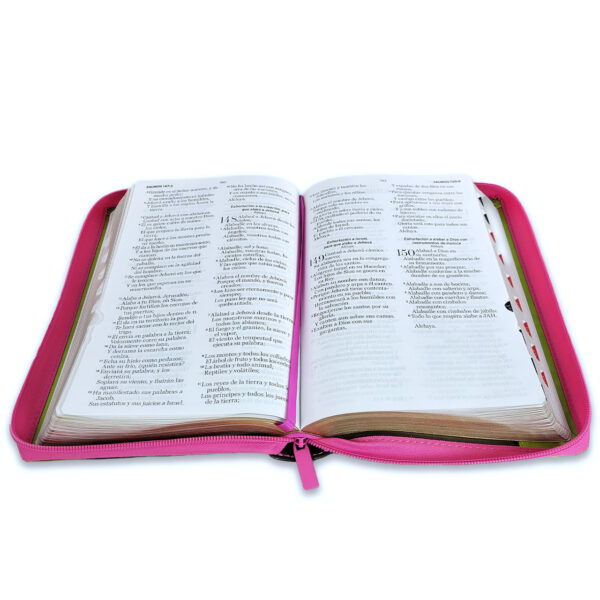 Biblia con Cierre Letra Grande 12 puntos para Mujer RV1960 imit piel Marrón Fúcsia Lima con índice - Imagen 2