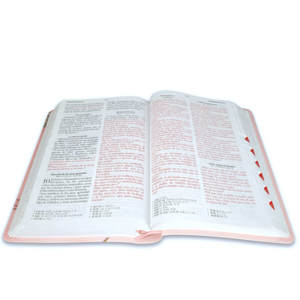 Biblia Letra Grande 12 puntos para Mujer RV1960 imit piel Rosa Floral con índice - Imagen 2