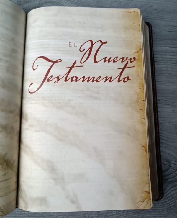 Biblia de Estudio Arqueológica NVI Piel - Imagen 15