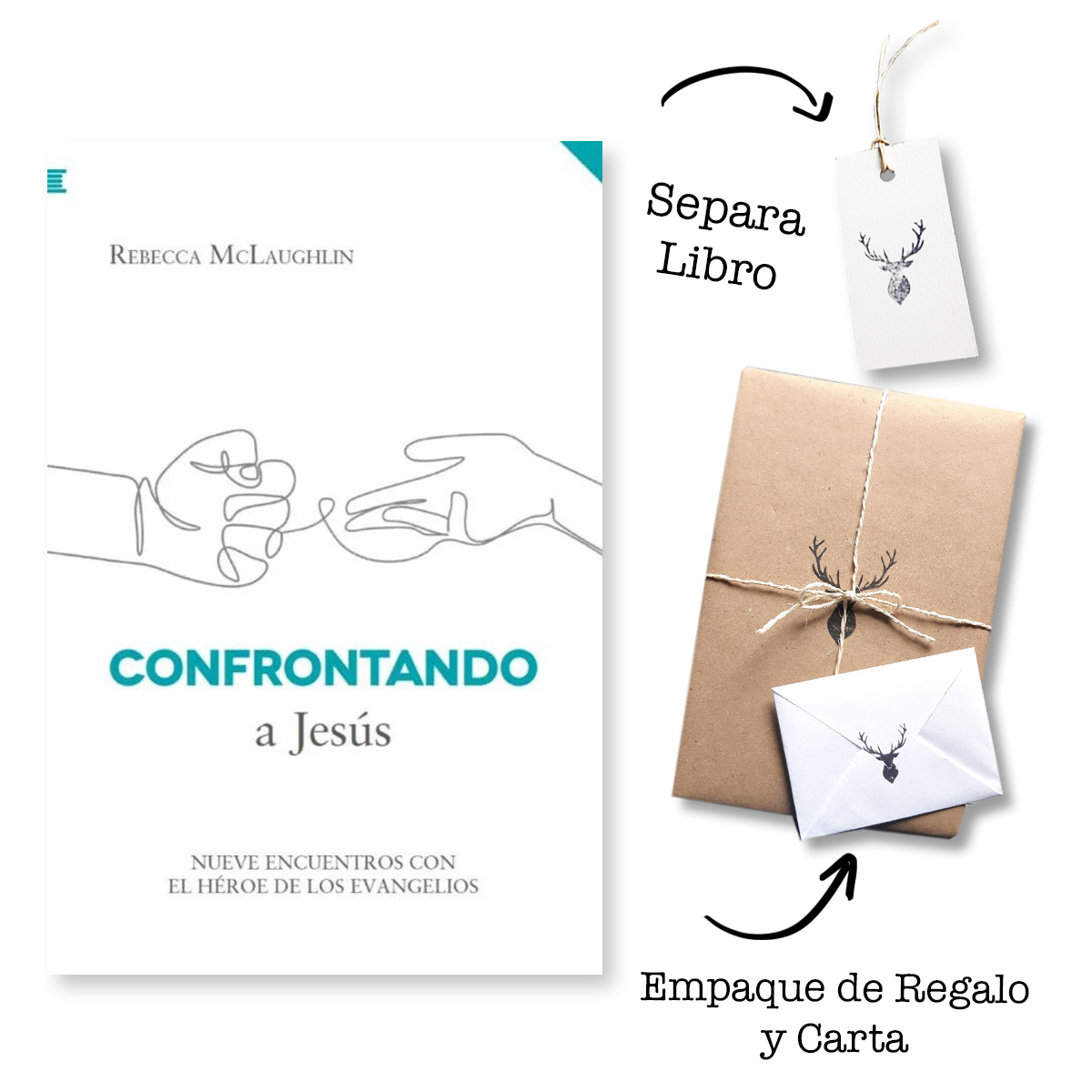 Confrontando a Jesús - Nueve encuentros con el héroe de los Evangelios