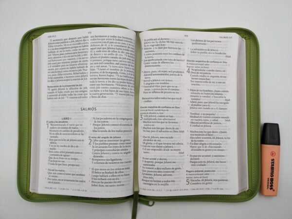 Biblia RVR 1960 Letra Grande Imitacion Piel Verde Con Cremallera - Imagen 3