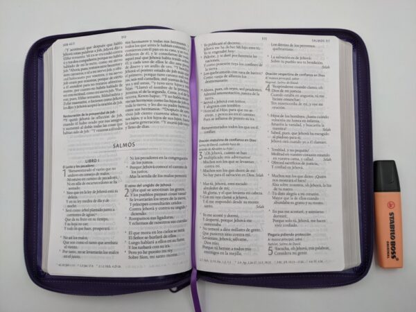 Biblia RVR 1960 Letra Grande Imitacion Piel Morado Con Cremallera - Imagen 3