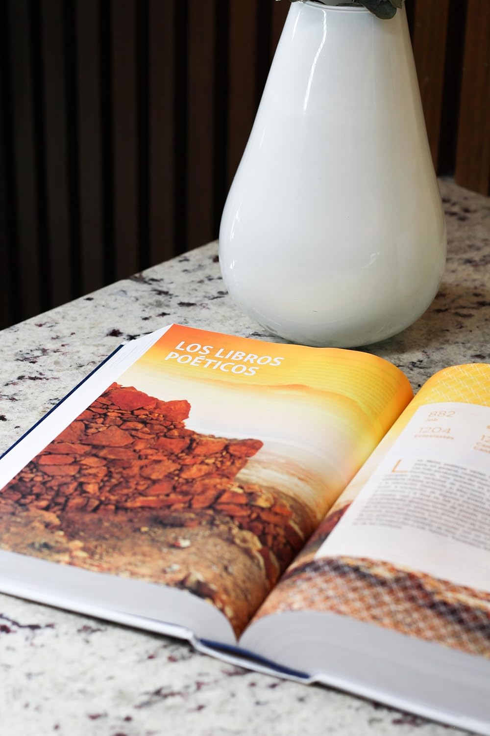 Biblia de Estudio NVI actualizada Revisión 2022 Letra grande Tapa Dura - Imagen 3