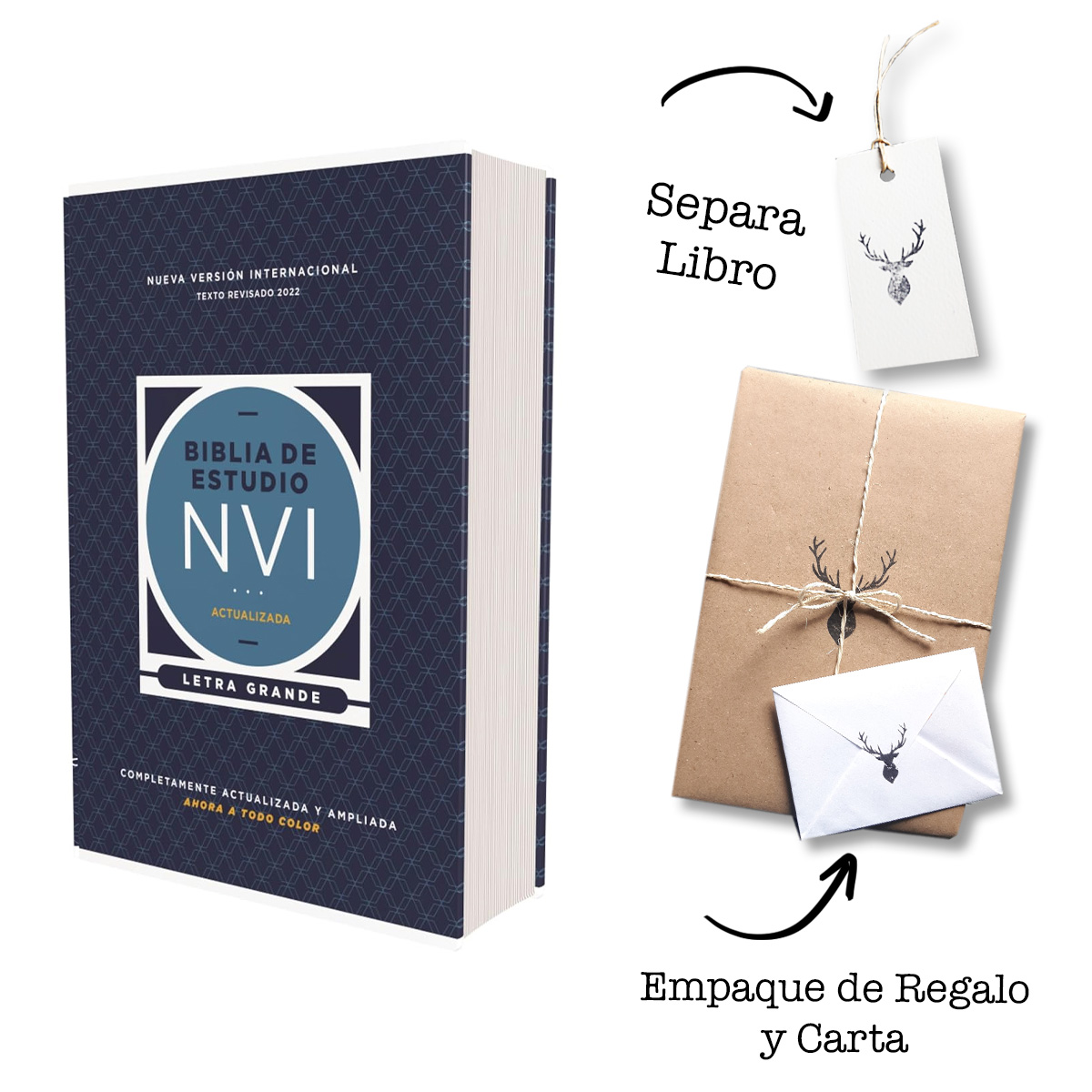 Biblia de Estudio NVI actualizada Revisión 2022 Letra grande Tapa Dura