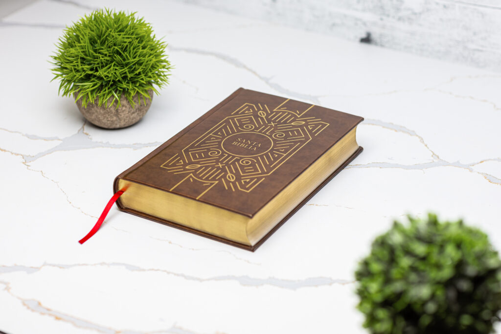 Biblia RVR60 De Credos Y Confesiones Cafe Simil Piel - Imagen 5