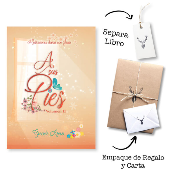 A Sus Pies Vol. 2 [Devocional] - Meditaciones diarias con Jesús