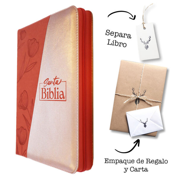 Biblia RVR Letra Gigante Color Naranja y Chanpagne Con Ayudas Digitales