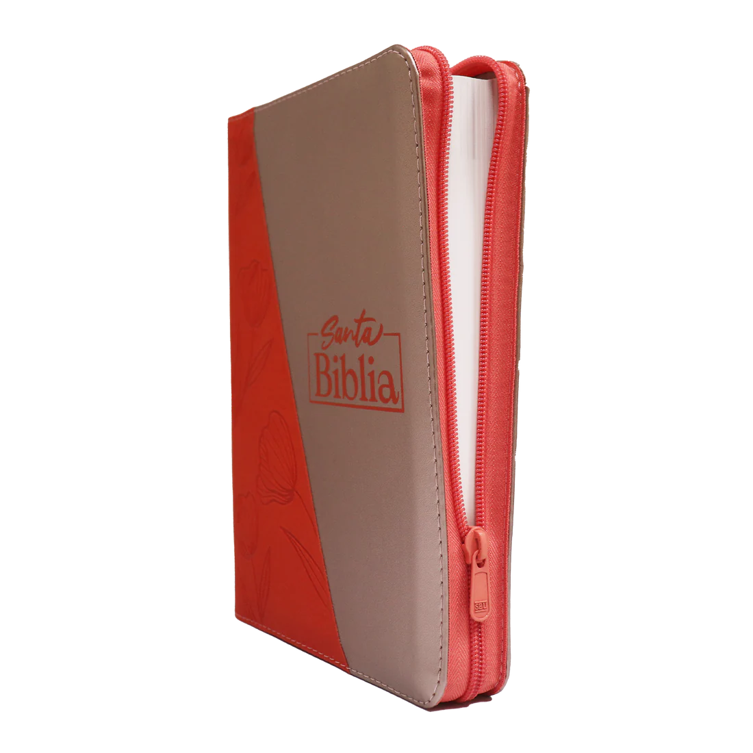 Biblia RVR Letra Gigante Color Naranja y Chanpagne Con Ayudas Digitales - Imagen 2