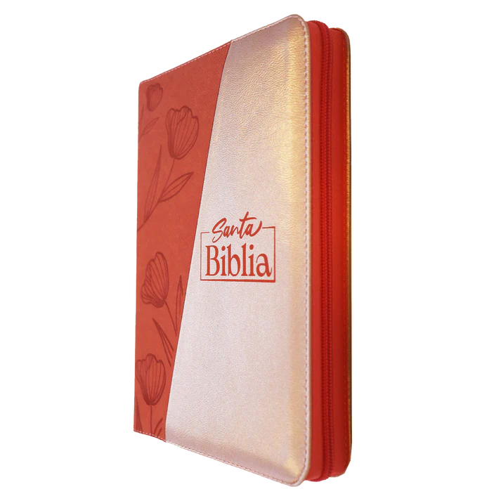 Biblia RVR Letra Gigante Color Naranja y Chanpagne Con Ayudas Digitales - Imagen 3