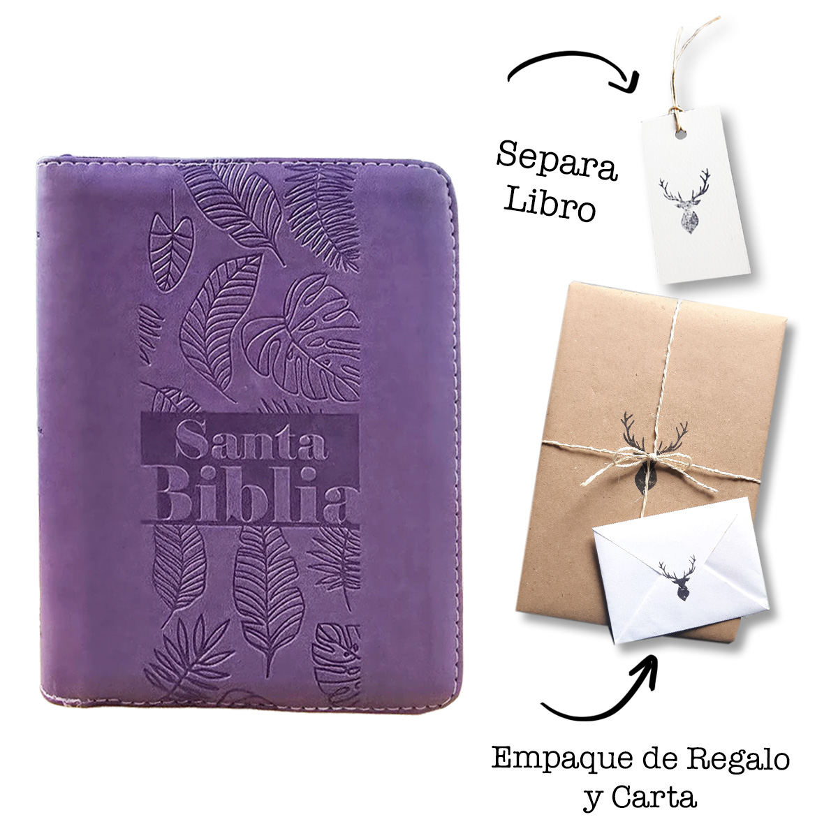 Biblia Mediana RVR Letra Grande 11 puntos PJR Color Lila Con Ayudas Digitales