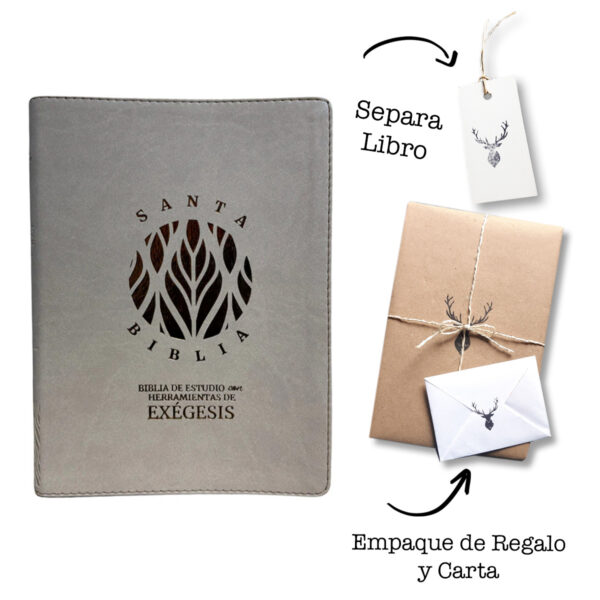 Biblia RVR 1995 con herramientas de Exégesis BEIGE
