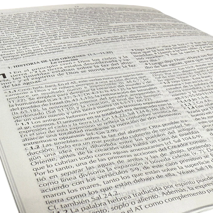 Biblia RVR 1995 con herramientas de Exégesis BEIGE - Imagen 6