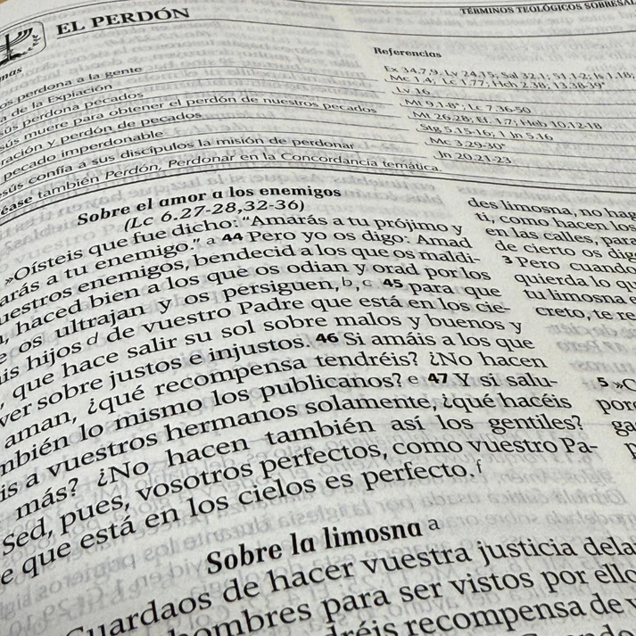 Biblia RVR 1995 con herramientas de Exégesis BEIGE - Imagen 8