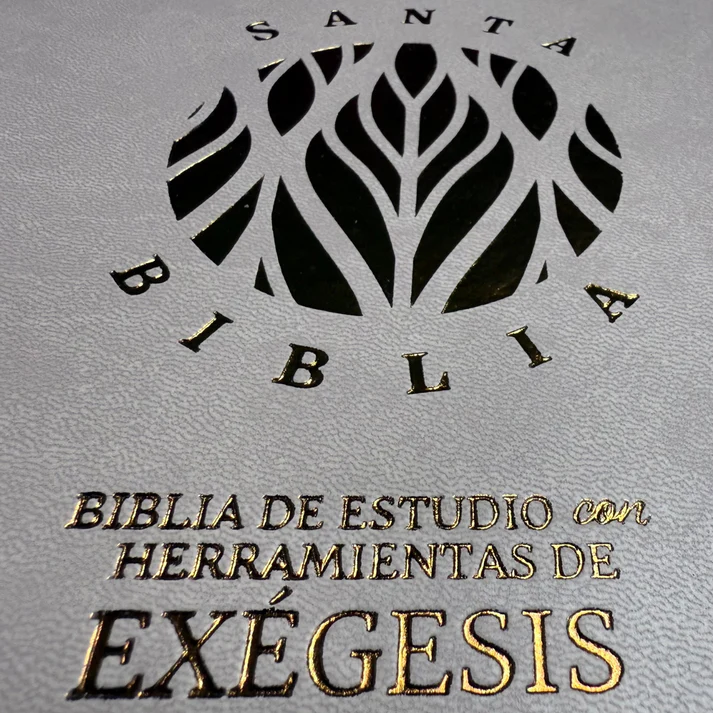 Biblia RVR 1995 con herramientas de Exégesis BEIGE - Imagen 5
