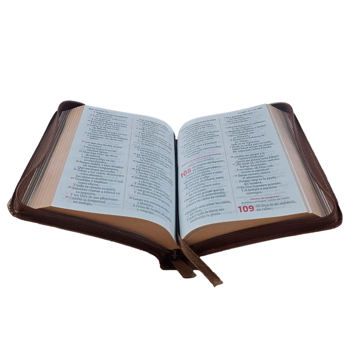 Biblia Mediana RVR Letra Grande 11 puntos PJR Color Café Con Ayudas Digitales - Imagen 6