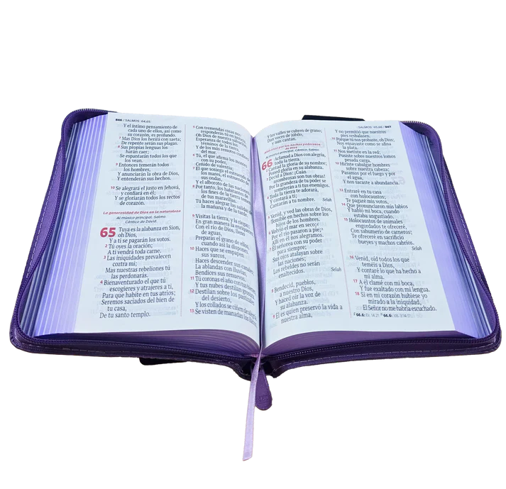 Biblia Mediana RVR Letra Grande 11 puntos PJR Color Lila Con Ayudas Digitales - Imagen 6