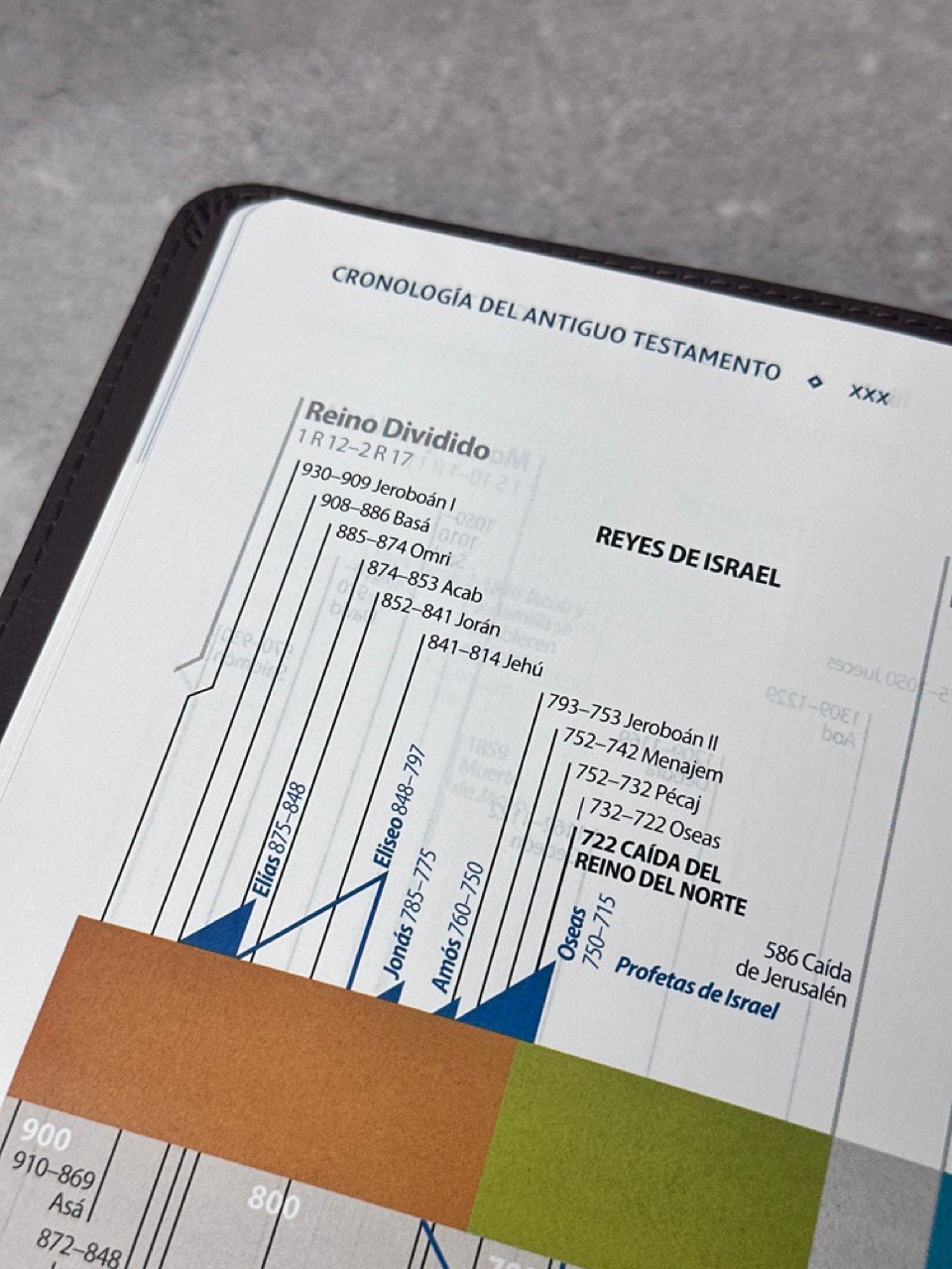 Biblia de Estudio NVI 2022 Letra Grande – Piel Café - Imagen 6