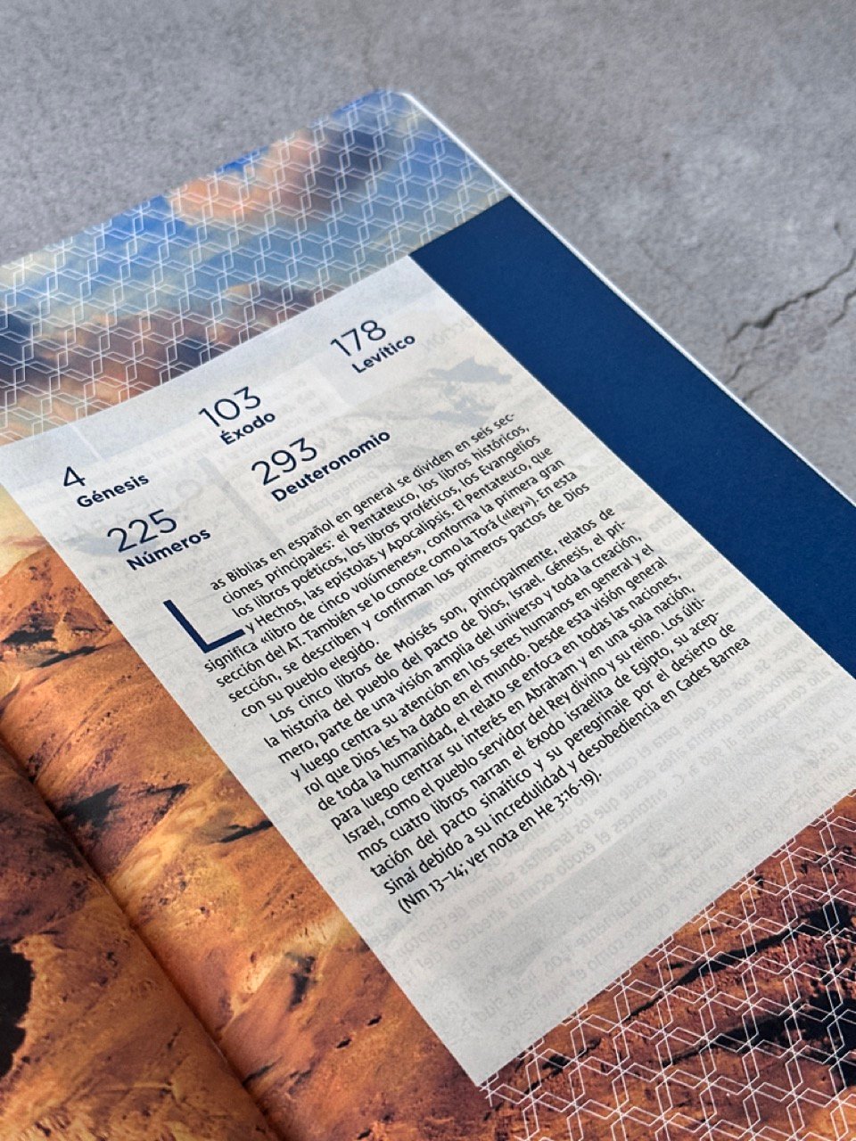 Biblia de Estudio NVI 2022 Letra Grande – Piel Café - Imagen 12