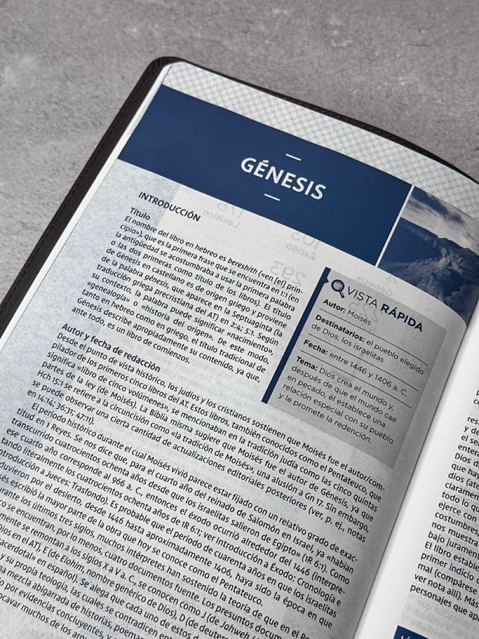 Biblia de Estudio NVI 2022 Letra Grande – Piel Café - Imagen 11