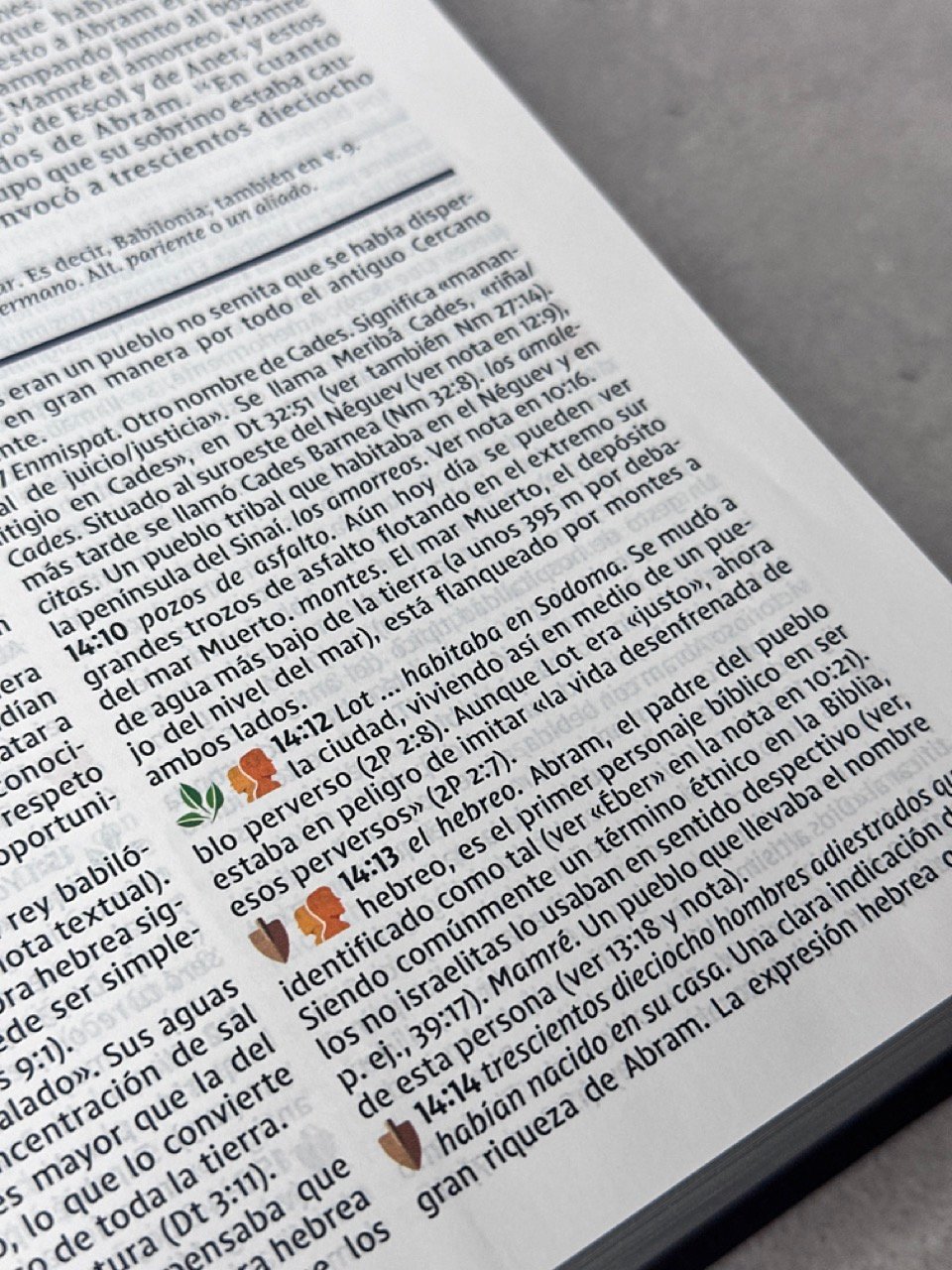 Biblia de Estudio NVI 2022 Letra Grande – Piel Café - Imagen 10