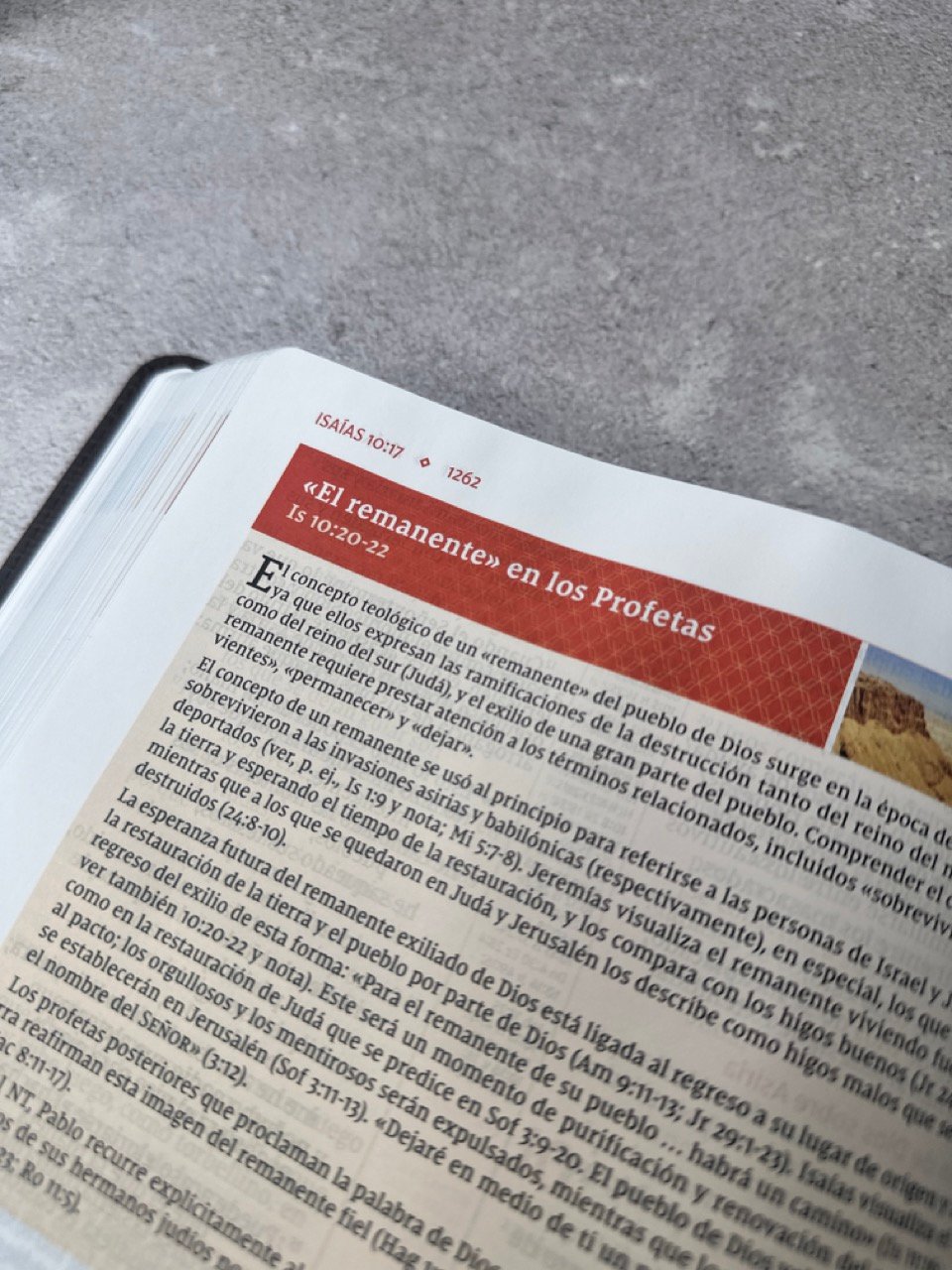 Biblia de Estudio NVI 2022 Letra Grande – Piel Café - Imagen 8