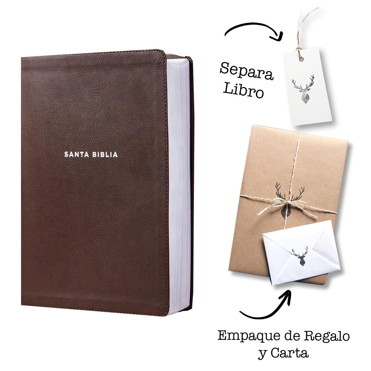 Biblia De Estudio NVI Actualizada Revision 2022 Cafe Letra Grande