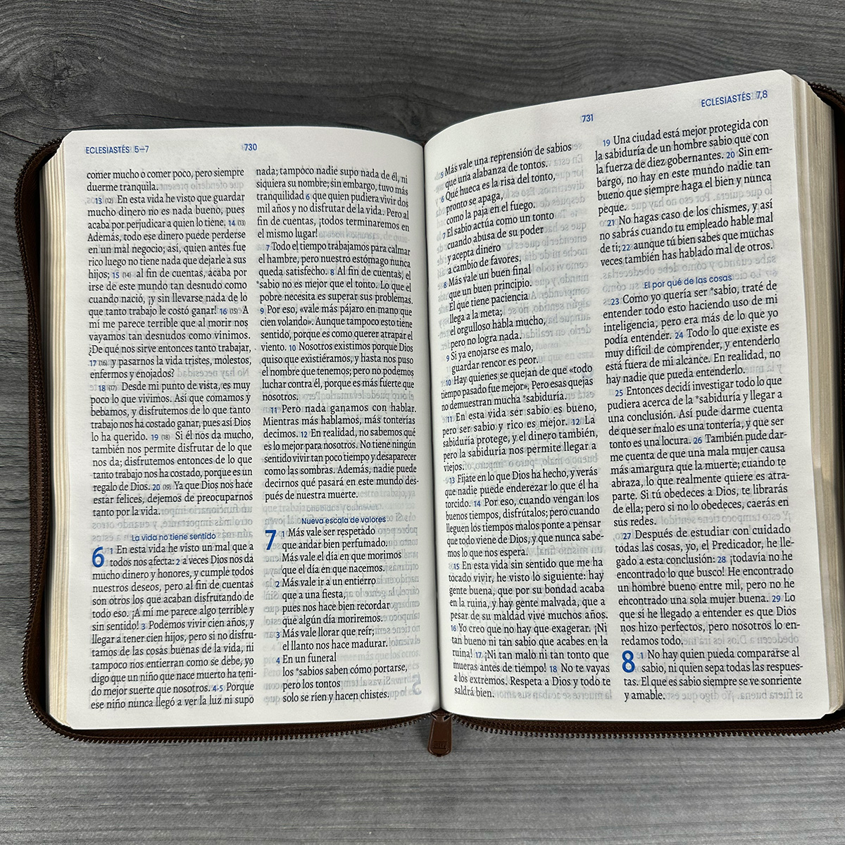 Biblia TLA Vive La Palabra Letra Grande 11 pts Piel Café Cierre - Imagen 6