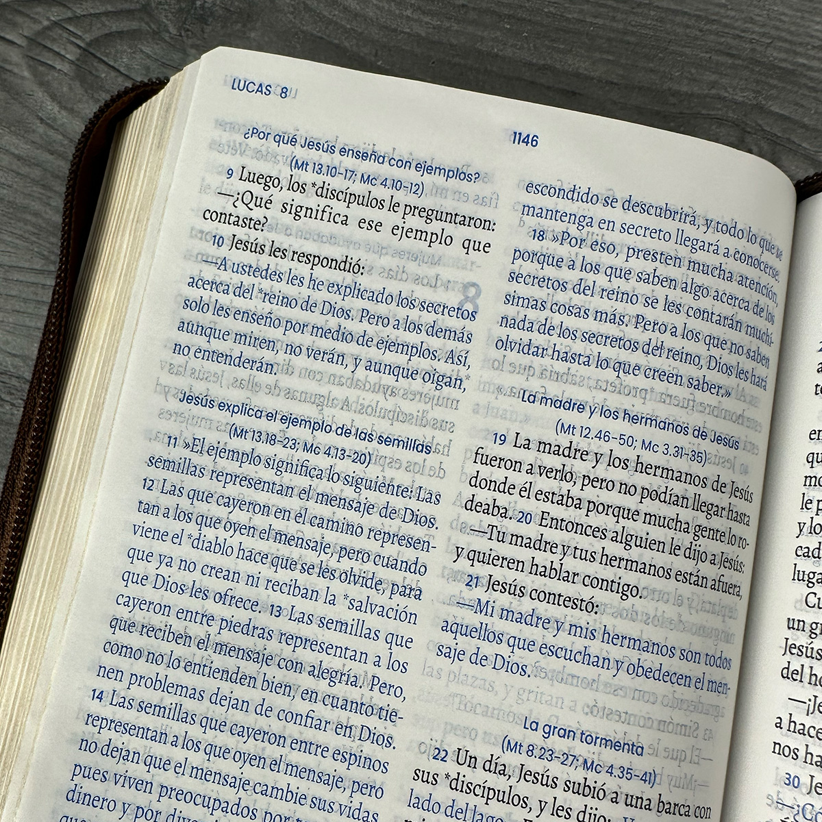 Biblia TLA Vive La Palabra Letra Grande 11 pts Piel Café Cierre - Imagen 7