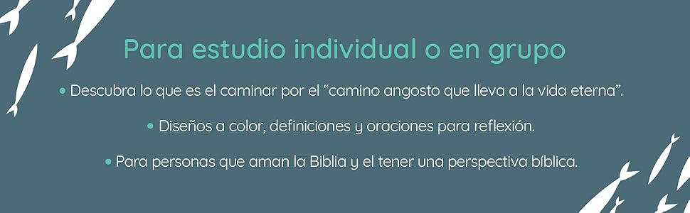The Chosen El camino de los elegidos: Un estudio bíblico interactivo, Temporada 3 - Imagen 4