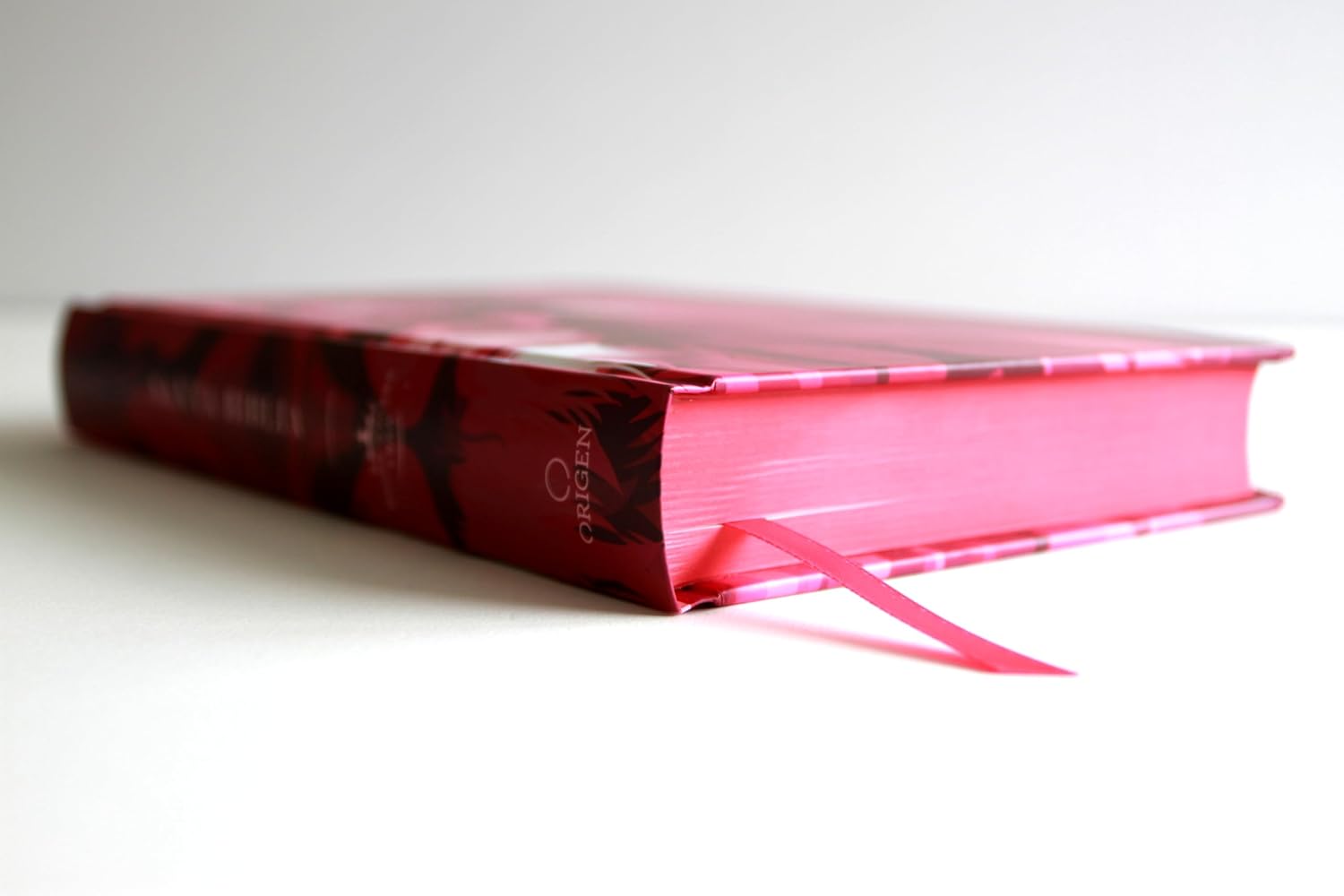 Biblia RVR 1960 Letra Grande 10 Tapa Dura León de Judá Rosada - Imagen 4