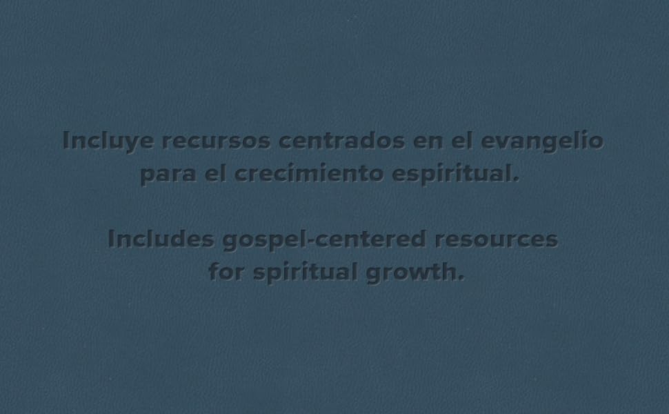 Biblia Consejería para la vida Azul Pizarra símil piel RVR 1960 - Imagen 8