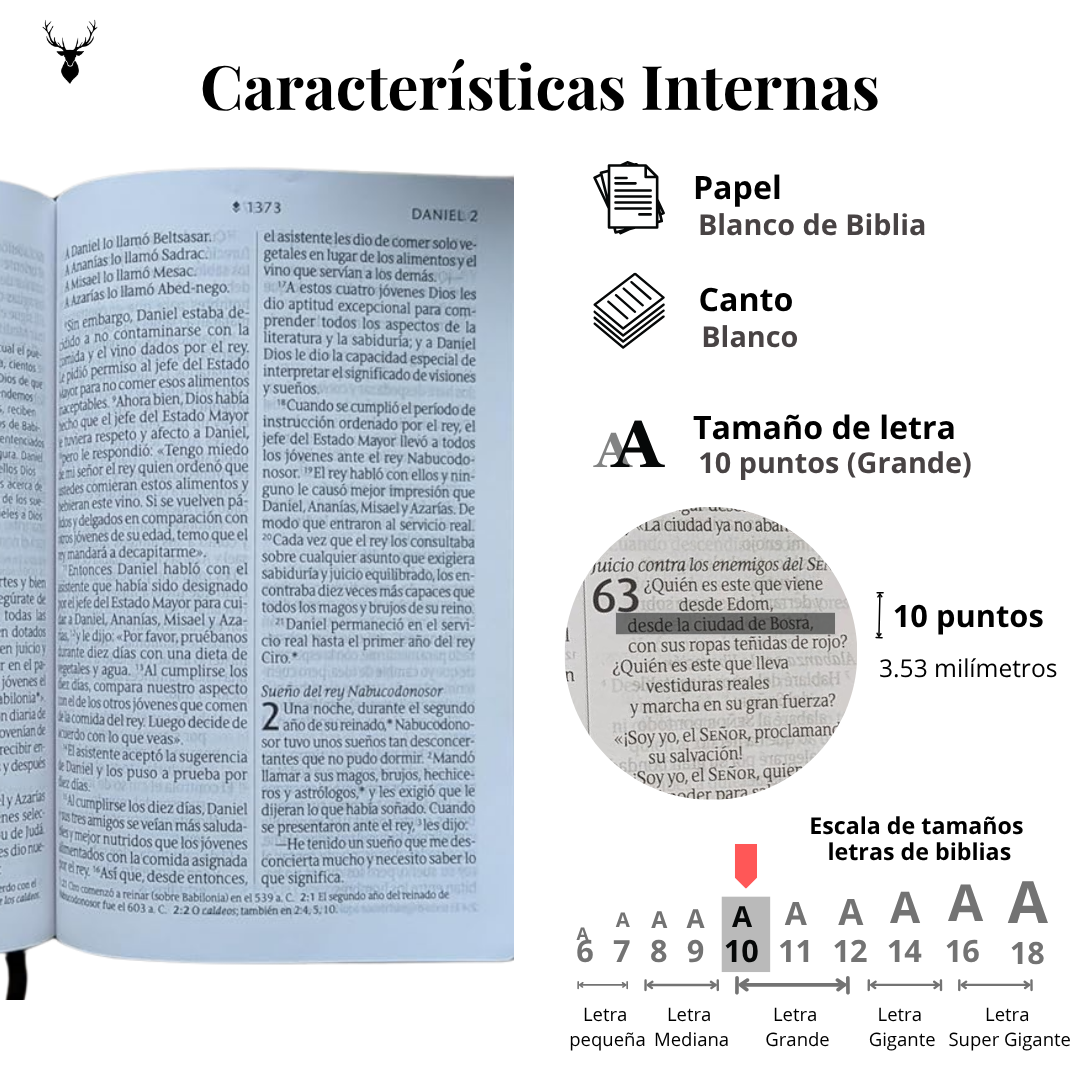 Biblia compacta NTV Letra Gigante de zíper con Filament - Imagen 3