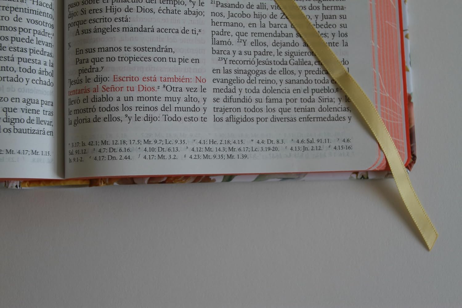 Biblia RVR 1960 letra grande tamaño manual, HC, flores rosadas y cantos pintados - Imagen 10