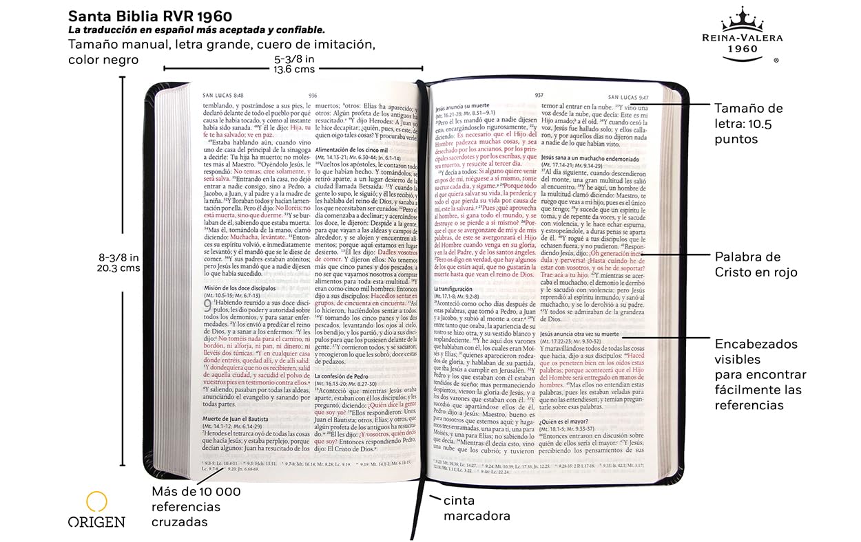 Biblia RVR60 Letra Grande Tamaño Manual Negro - Imagen 5