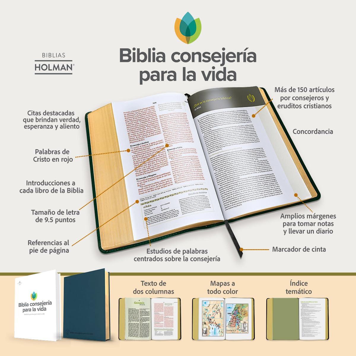 Biblia Consejería para la vida Azul Pizarra símil piel RVR 1960 - Imagen 2