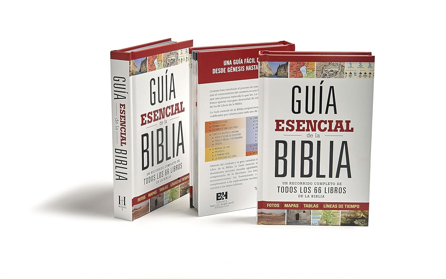 Guía esencial de la Biblia - Un recorrido completo de todos los 66 libros de la biblia - Imagen 4