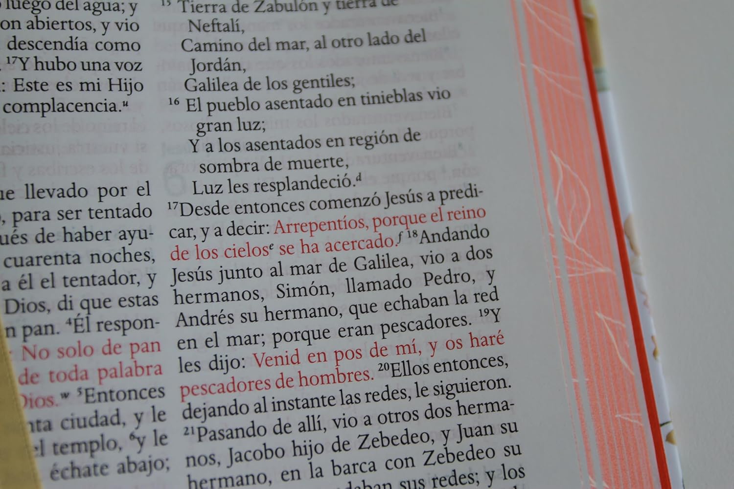 Biblia RVR 1960 letra grande tamaño manual, HC, flores rosadas y cantos pintados - Imagen 5