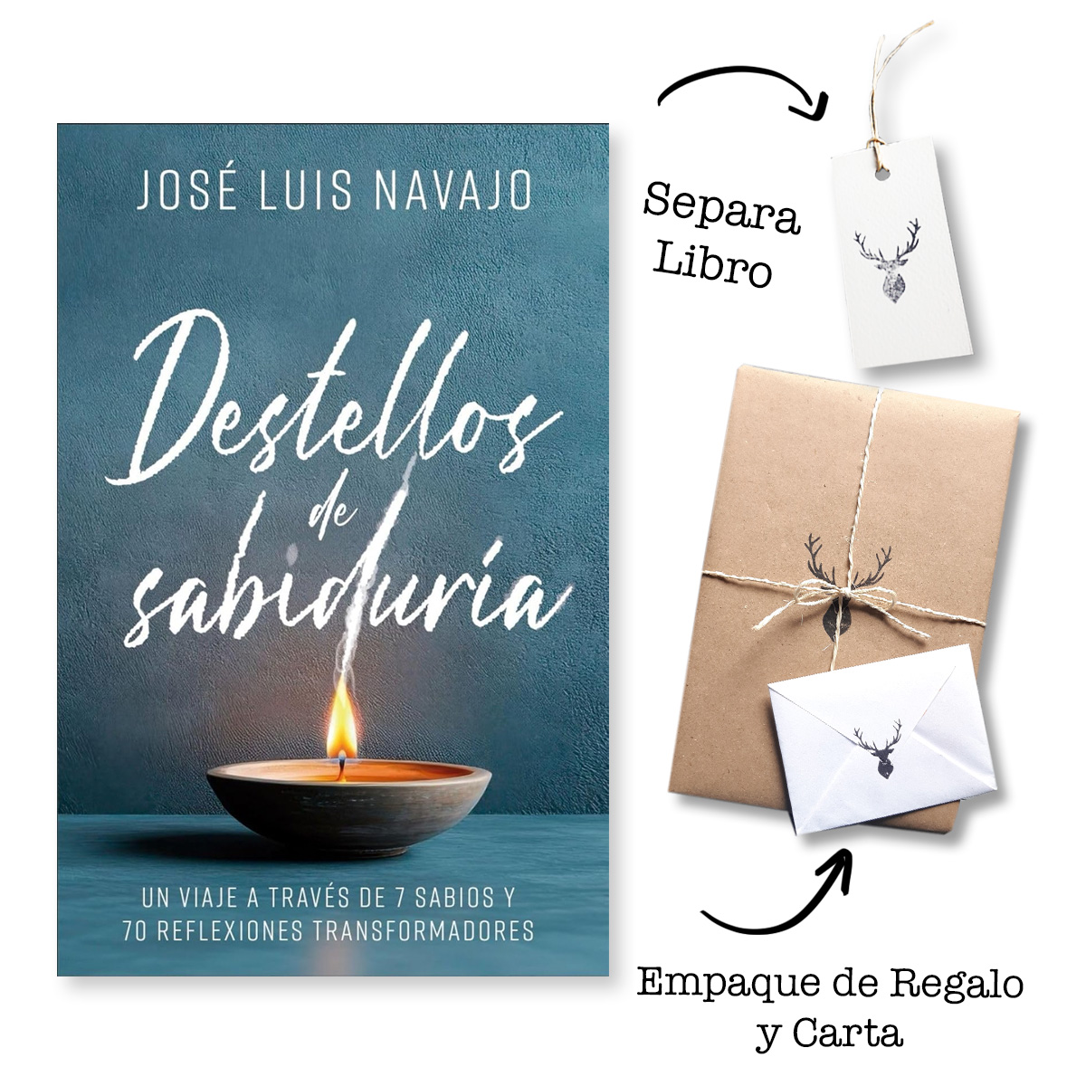 Destellos de Sabiduría - Jose Luis Navajo