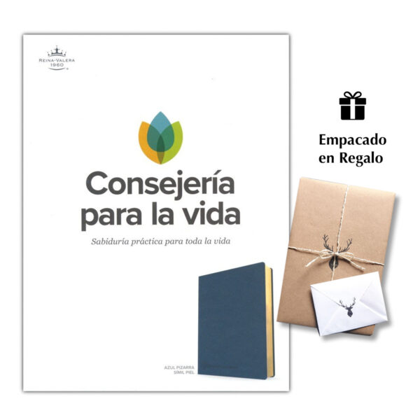 Biblia Consejería para la vida Azul Pizarra símil piel RVR 1960