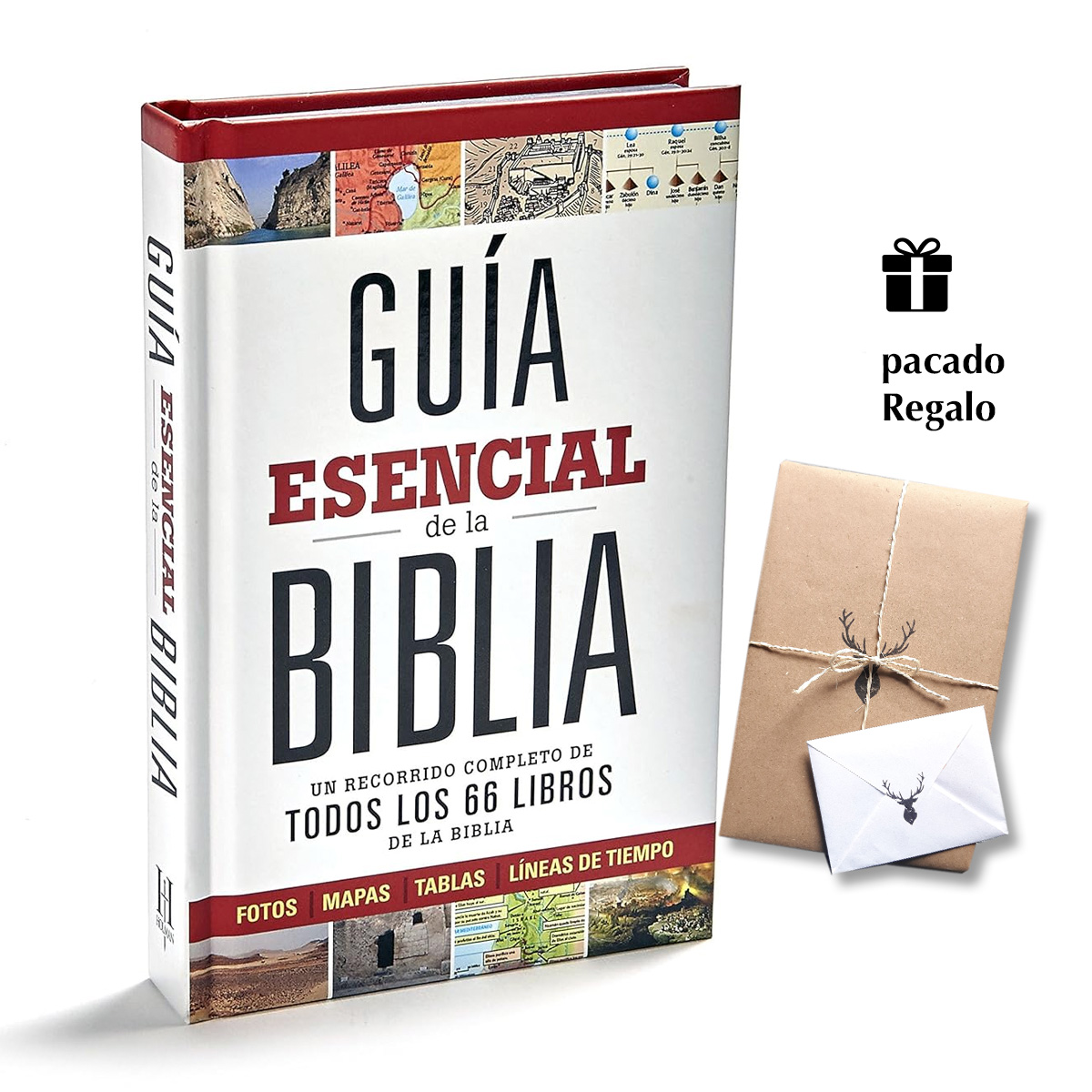 Guía esencial de la Biblia - Un recorrido completo de todos los 66 libros de la biblia