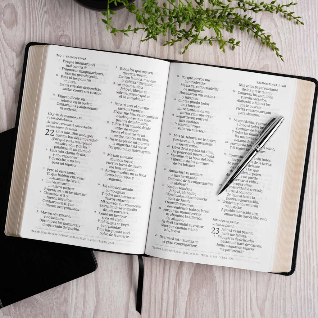 Biblia RVR 1960 Letra Super Gigante Negro con Café símil piel - Imagen 8