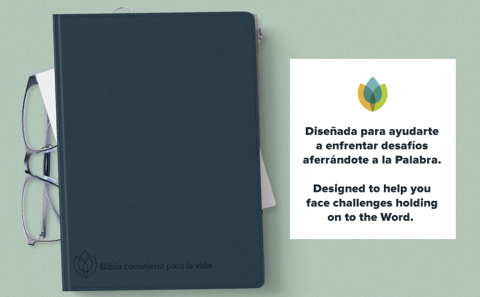 Biblia Consejería para la vida Azul Pizarra símil piel RVR 1960 - Imagen 3