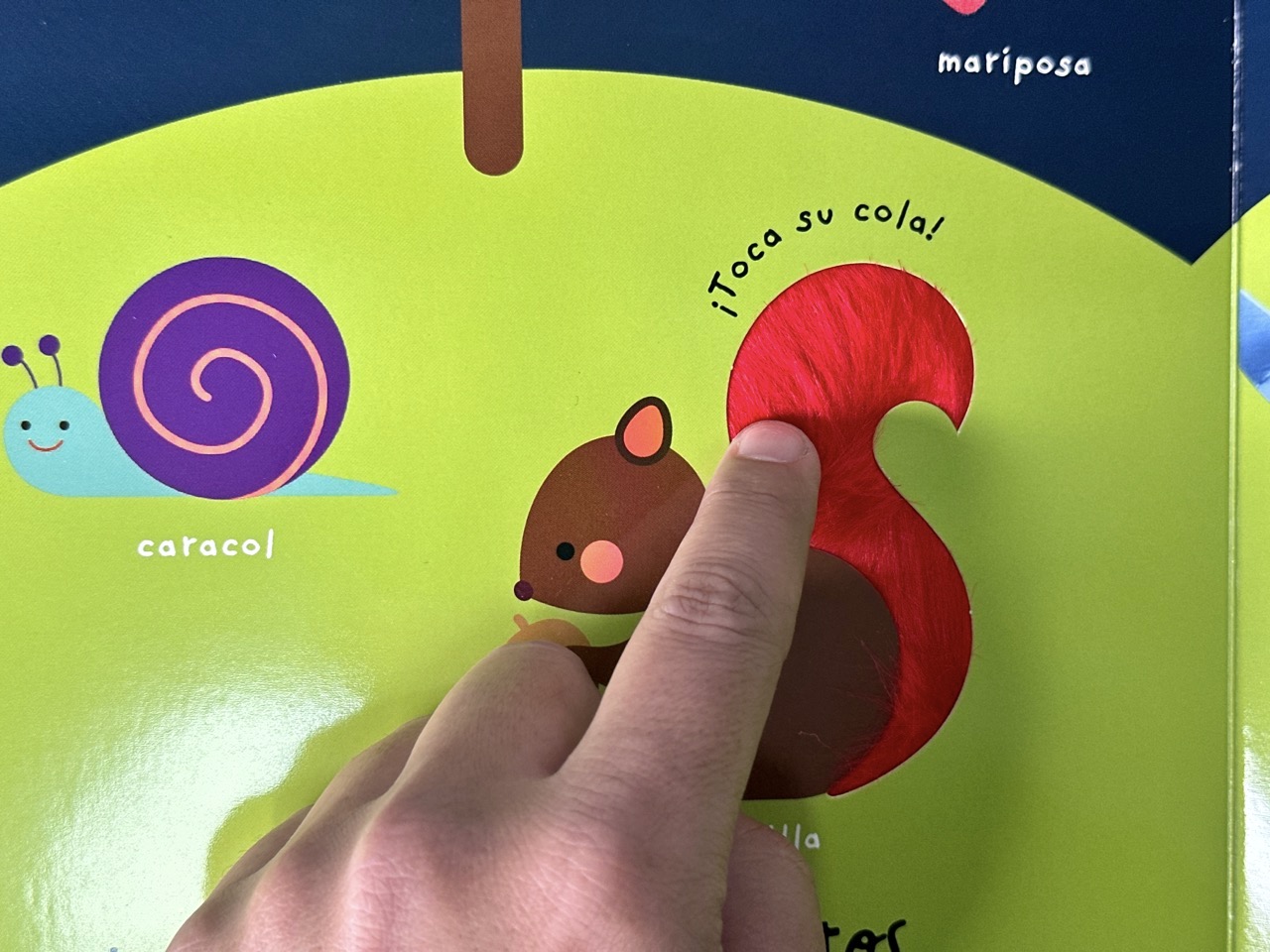 Buenas noches Pequeña Ovejita Salmo 23 - Colección Toca y Juega. - Imagen 4