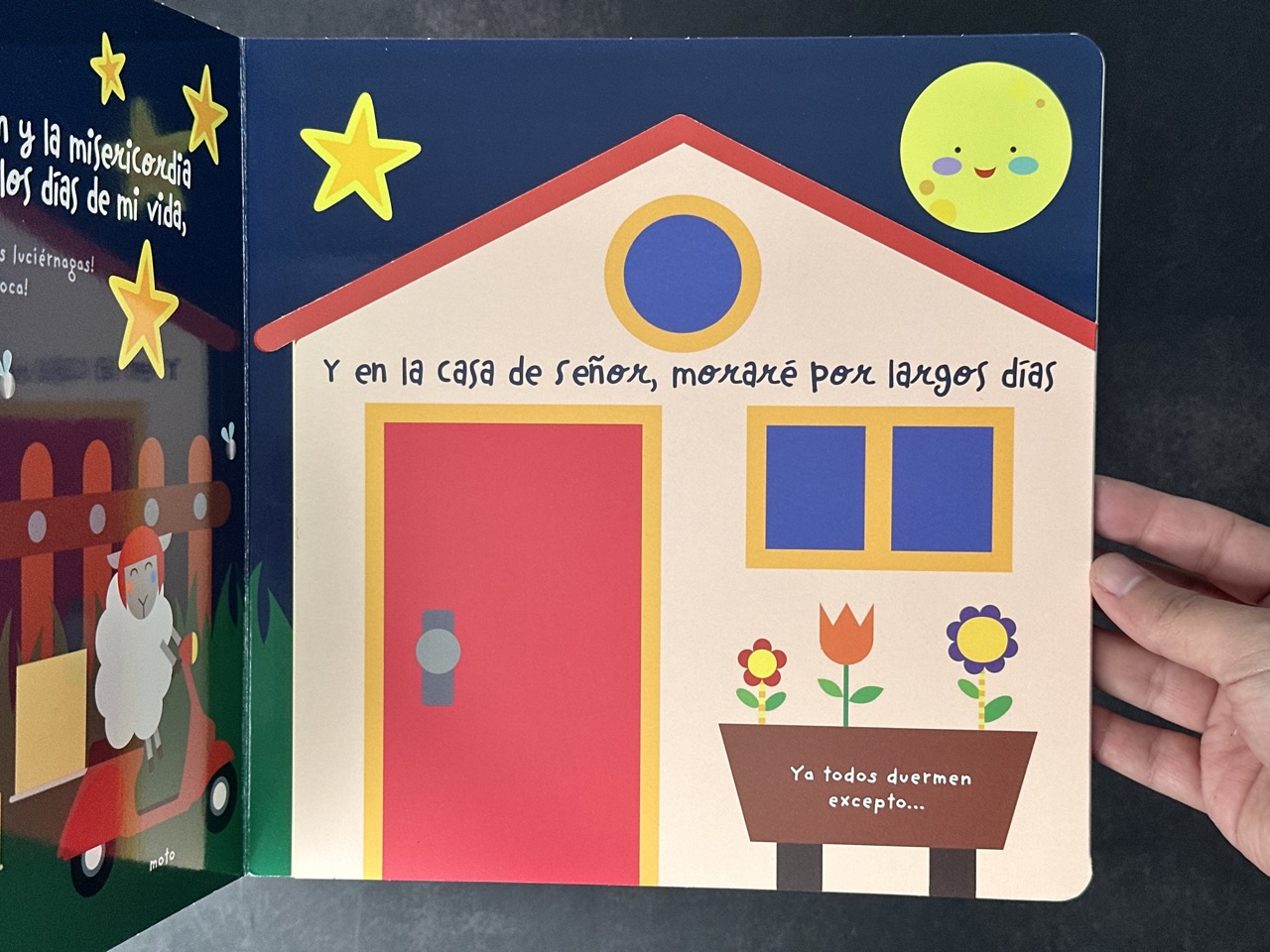 Buenas noches Pequeña Ovejita Salmo 23 - Colección Toca y Juega. - Imagen 2