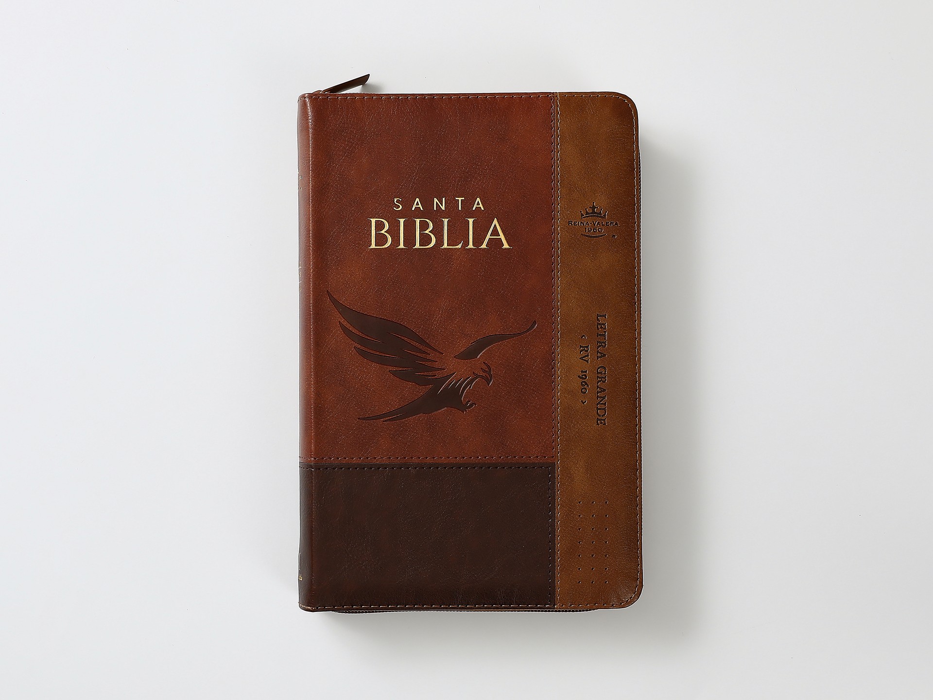Biblia RVR60 Tamaño Manual letra grande 12 puntos i/piel Café/café/café Águila cierre/índice - Imagen 5