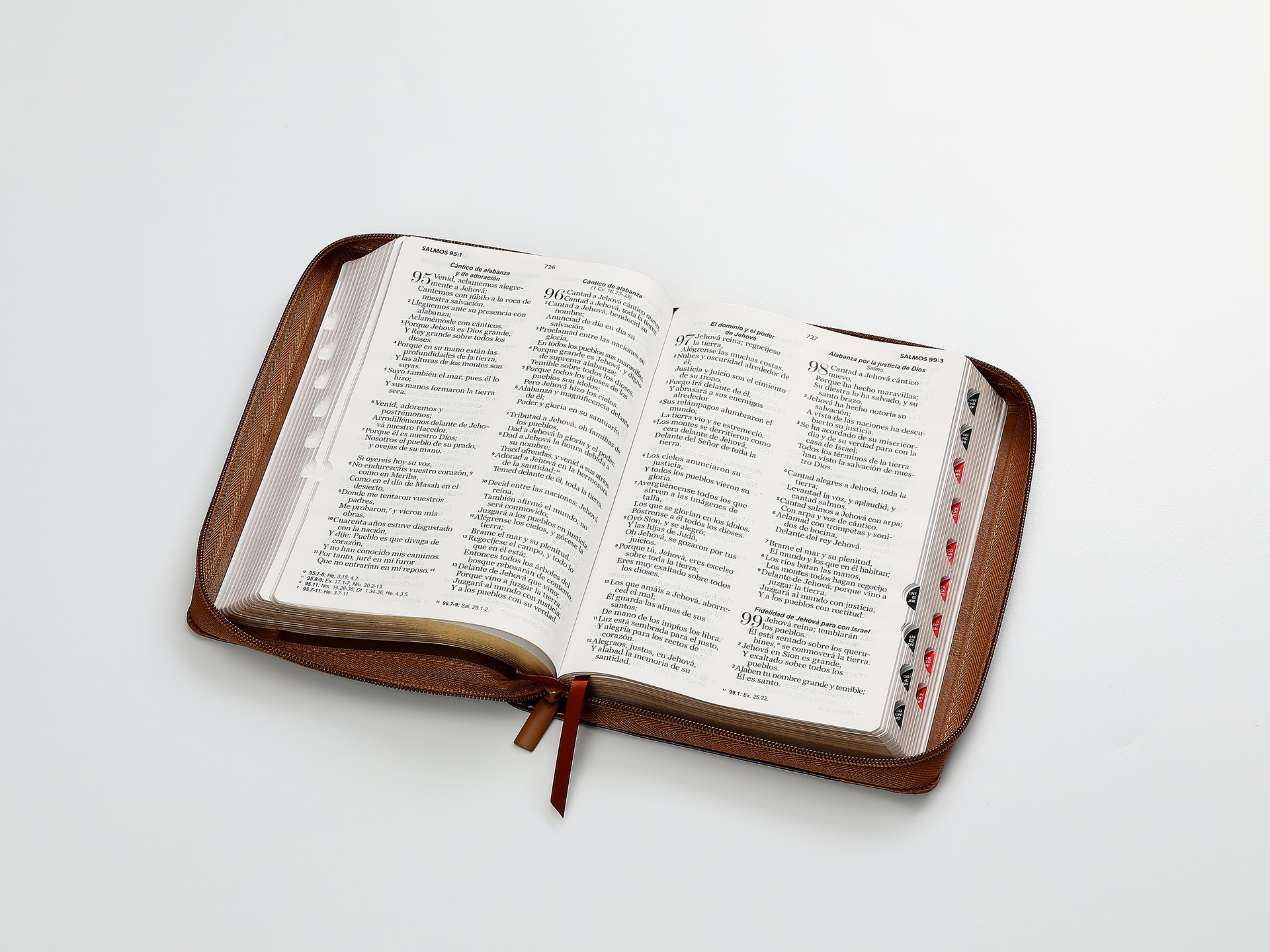 Biblia RVR60 Tamaño Manual letra grande 12 puntos i/piel Café/café/café Águila cierre/índice - Imagen 6