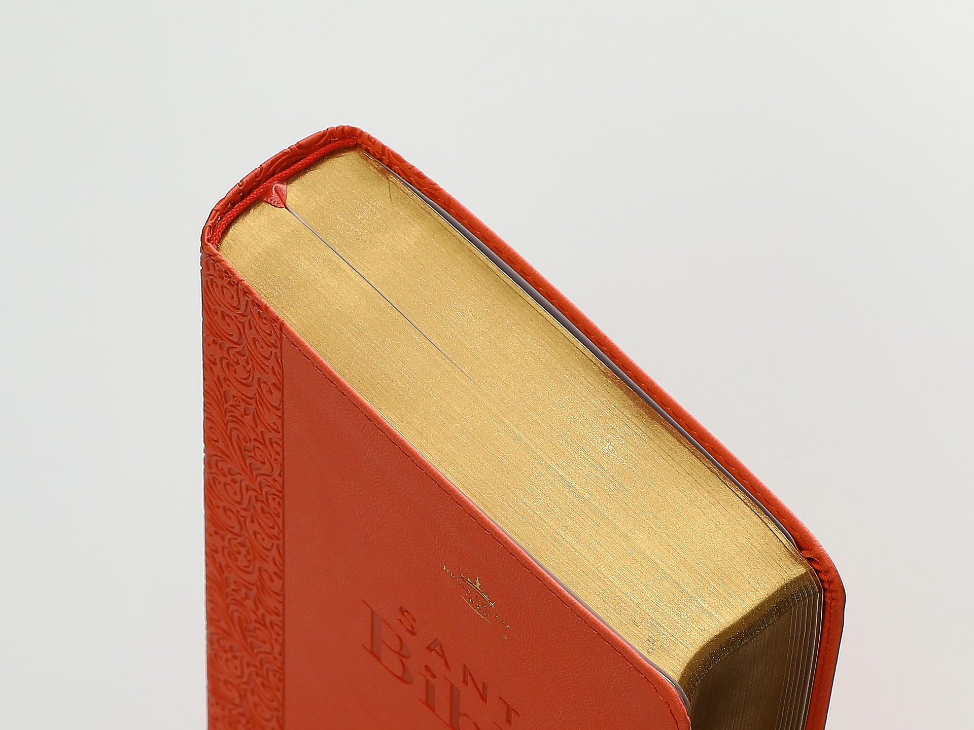 Biblia RVR60 Tamaño manual Letra Gigante piel Coral - Imagen 4