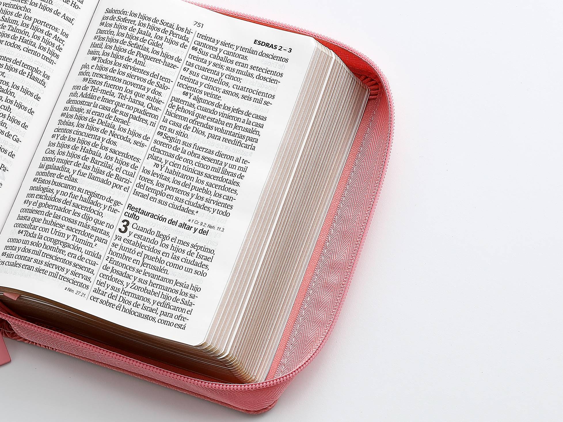 Biblia RVR60 Tamaño compacto Letra Grande 12 puntos i/piel rosa floral con cierre - Imagen 6